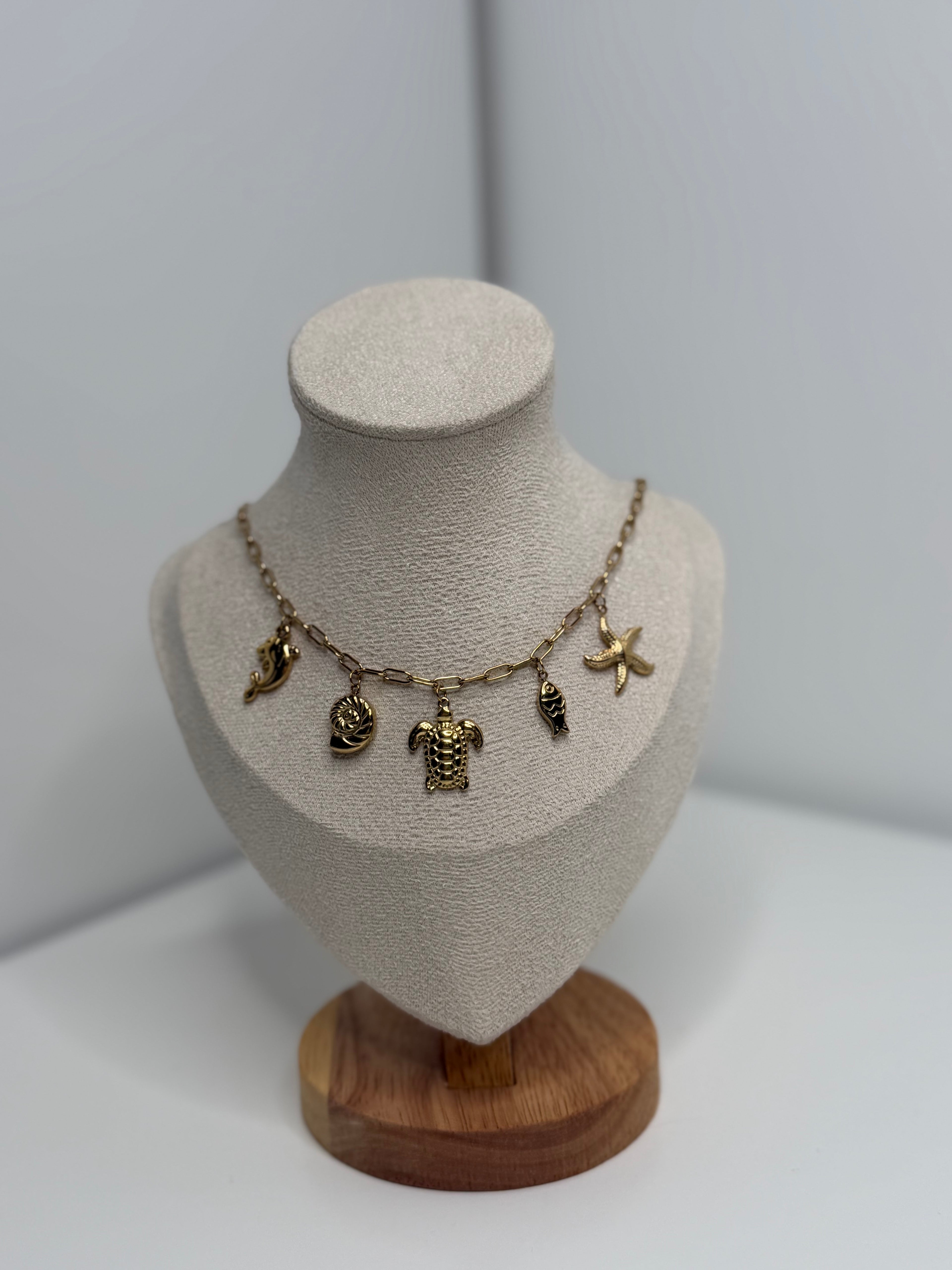 Collier Coquillage